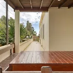 Vila Rodigliano