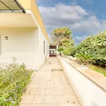 Rodigliano Torre San Giovanni Ugento